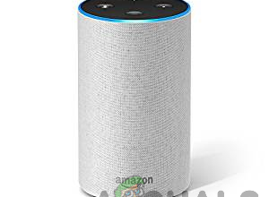 Alexa-enabled device