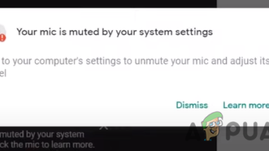 How to Fix Your Mic is muted by System settings on Google Meet