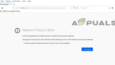 Network Protocol Error in Mozilla Firefox